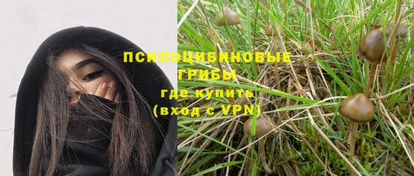 прущая мука Лабытнанги