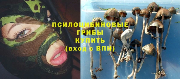гидра Ладушкин