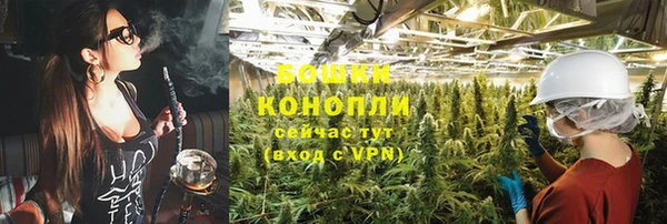 гидра Ладушкин